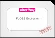 Floss Ecosystem - Strategy approach  - PhD Work