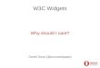 W3C Widgets: Why should I care?