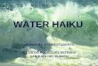 Water haikus