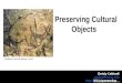 RDAP14: Data management of cultural software objects and their development histories