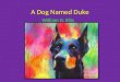 A dog named duke new class 9 ( modified version )
