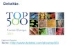 CE TOP 500 - Największe firmy Europy Środkowej 2013