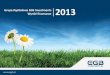 Prezentacja wyników finansowych Grupy Kapitałowej EGB Investments za rok 2013