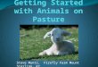 Southern sawg   getting started with animals on pasture