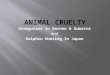 Animal Cruelty Presentation - Orangutans in Borneo and Sumatra and Dolphins in Japan