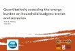 Quantitatively assessing the energy burden on household budgets: trends and scenarios