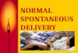 Normal Spontaneous Delivery