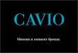 CAVIO Brand Concept RU