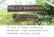 Mollies Garden