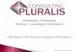 Pr©sentation activit©s pluralis consulting 2013