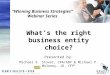 Business Entity Choice Presentation
