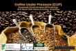 P. Laderach. Coffee Under Pressure Cup Ciat Sfl Meeting