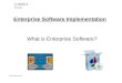 Enterprise Software Implementation