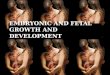 Embryonic and fetal growth and development