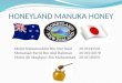 Global Issue Presentation NZ Honeyland Manuka