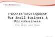 Process Development For Small Business 040610 Tda