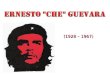 Ernesto Guevara            Che