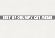 Best of grumpy cat meme
