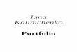 Kalinichenko Portfolio PR