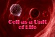Lesson 2: Understanding cells