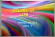 Colors of life