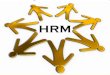 HRM 1 Strategic+Implications+of+a+Dynamic+HRM+Environment