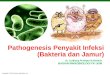 Patogenesis Penyakit Infeksi