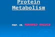 Protein Metabolism and acids SamyA1