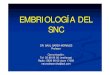Embriologia de Snc Univ Anahuac 2005