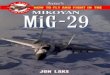 4007751 Mikoyan MiG29 Fulcrum