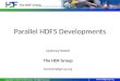 Parallel HDF5 Developments