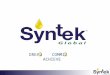 Syntek Global Business Opportunity Presentation