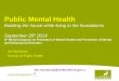 a pragmatic approach to building a local public mental health progamme