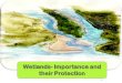 Wetlands- impotance and protection.ppt