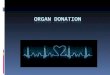 Organ donation 2013