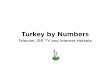 Turkey By Numbers
