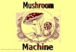 Mushroom Machine