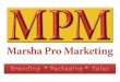 MPM Project - Concept Development Launch