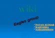 eagles group