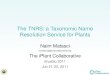 The TNRS: a Taxonomic Name Resolution Service for Plants