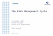 The risk management cycle