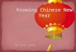 Chinese new year presentation