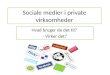 Sociale medier i private virksomheder