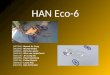Presentatie HAN ecomarathon 2010: groep eco 6