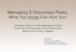 E Discovery Risks for Risk Managers