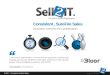 Sell2 It Executive Overview 2012 Gj