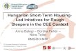 Short-Term Housing-Led Initiatives for Rough Sleepers in a Central-Eastern European Context