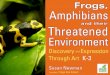 Frogs, Amphibians and their Threatened Environment - Discovery and Expression Through Art - K-3 Curriculum