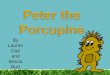 Peter The Porcupine