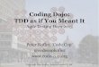 TDD as if You Meant It (2013)